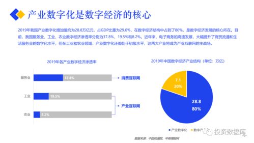 2020產(chǎn)業(yè)互聯(lián)網(wǎng)發(fā)展報(bào)告 網(wǎng)絡(luò)開(kāi)發(fā)的機(jī)遇與挑戰(zhàn)